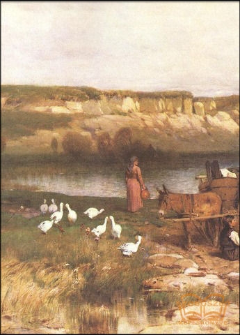 Balaton öble az akarattyai partokkal 2.