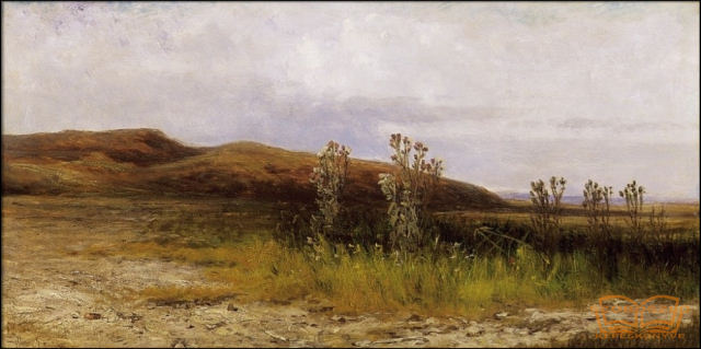 Balatonpart szamárkórókkal