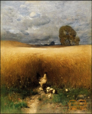 Tyúkanyó kiscsibékkel