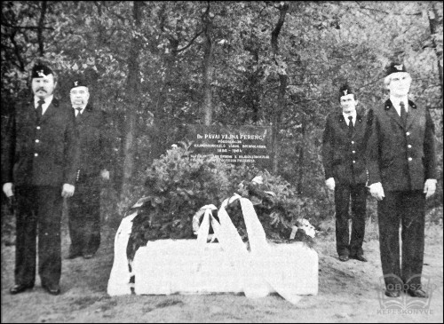 Pávai Vajna Ferenc újratemetése