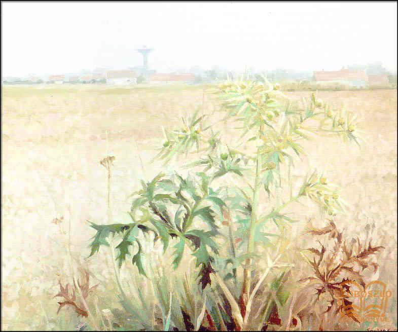 Mezei szúrós tövis